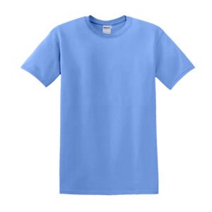 Bleu Carolina