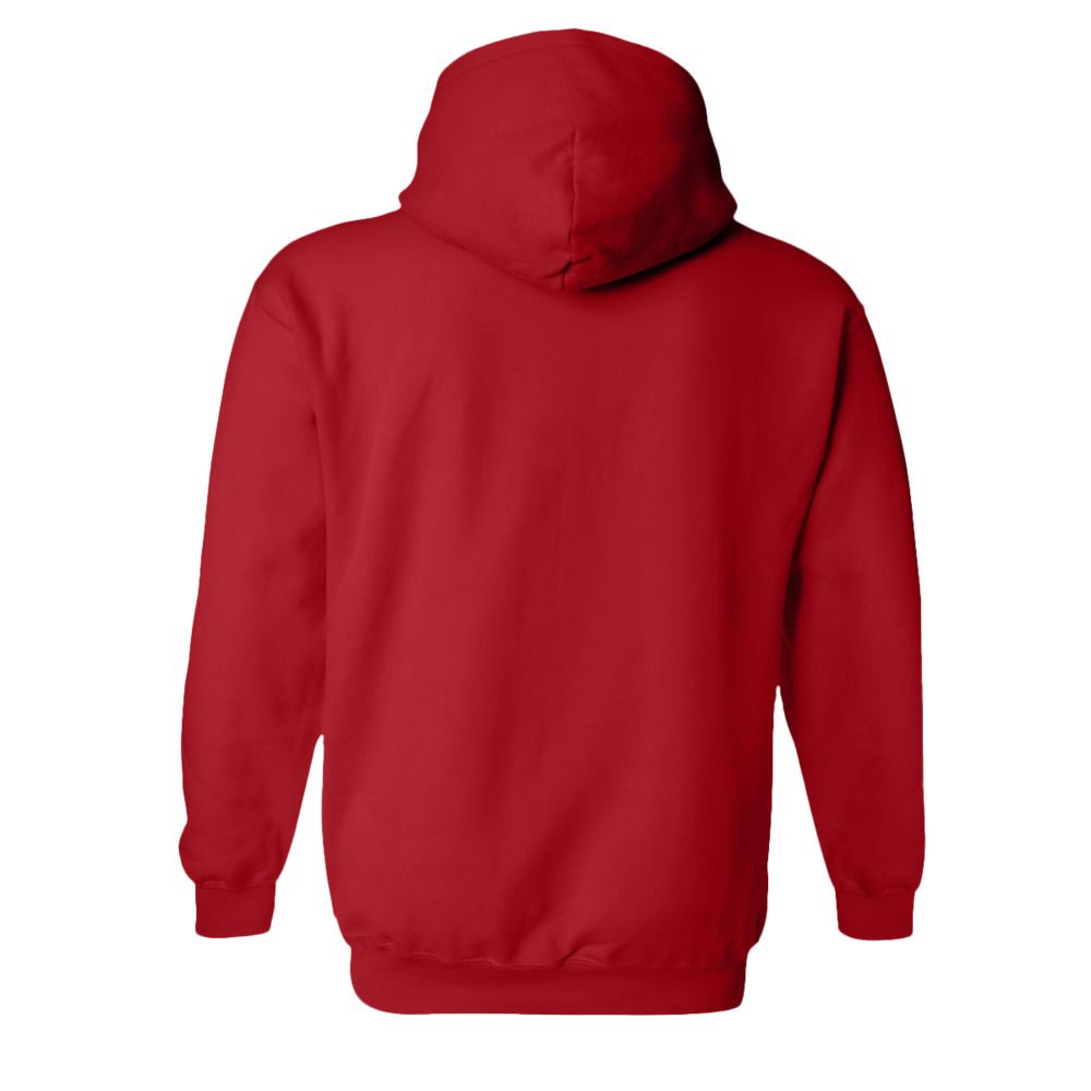 sweatshirt capuche