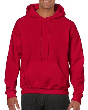 sweatshirt capuche