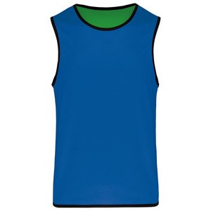 Proact PA044 - Chasuble de rugby réversible Sporty Royal Blue / Green