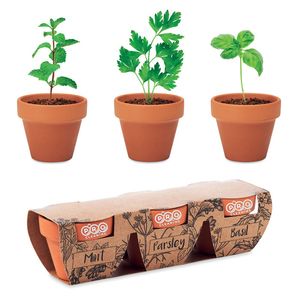 GiftRetail MO6145 - FLOWERPOT 3 pots en terre Wood