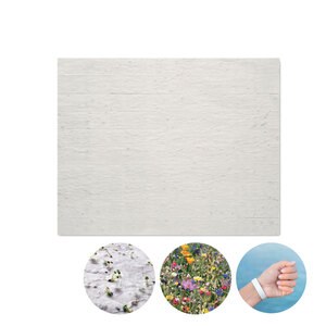 GiftRetail MO6907 - BANDSEE Bracelet en papier graines Blanc