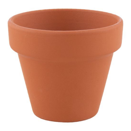 EgotierPro 50549 - Pot Terracotta 5 cm avec Basilic BASIL