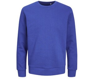 Bleu Surf The Web