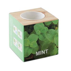 GiftRetail MO9337 - MENTA Pot en bois avec graine Menthe