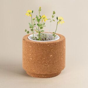 EgotierPro 53531K - Pot en liège avec graine fleurs sauvages LUWA